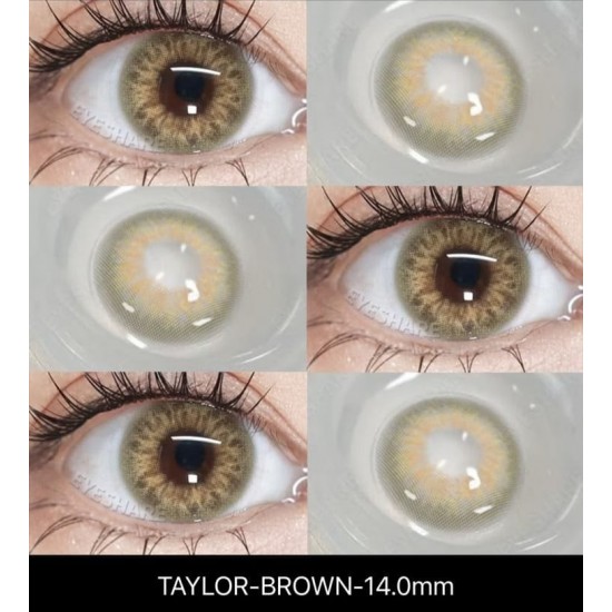 Taylor Kahverengi Doğal Circle Lens