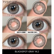 Barcelona GRİ Renkli Lens