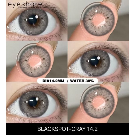 Blackspot Gri Circle Lens