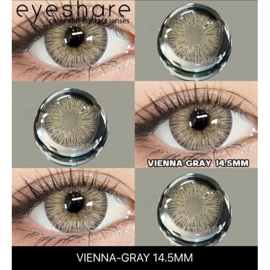 Vienna Gri Renkli Lens