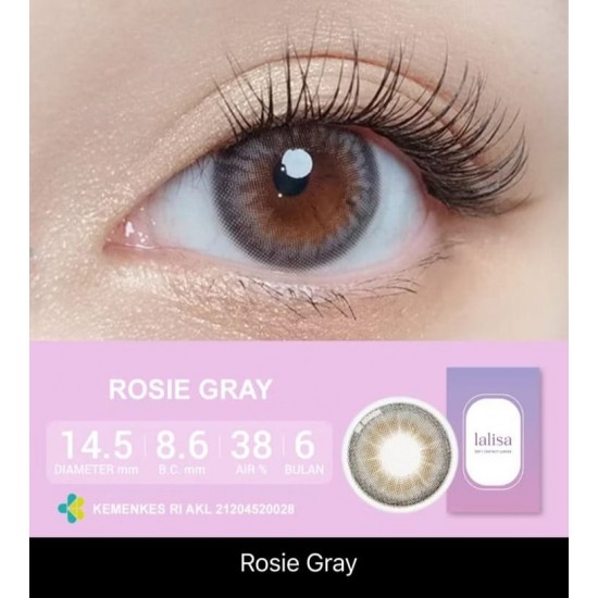 LALİSA ROSIE Gri Doğal Lens