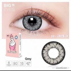 Exocotıon Gri Circle  Lens